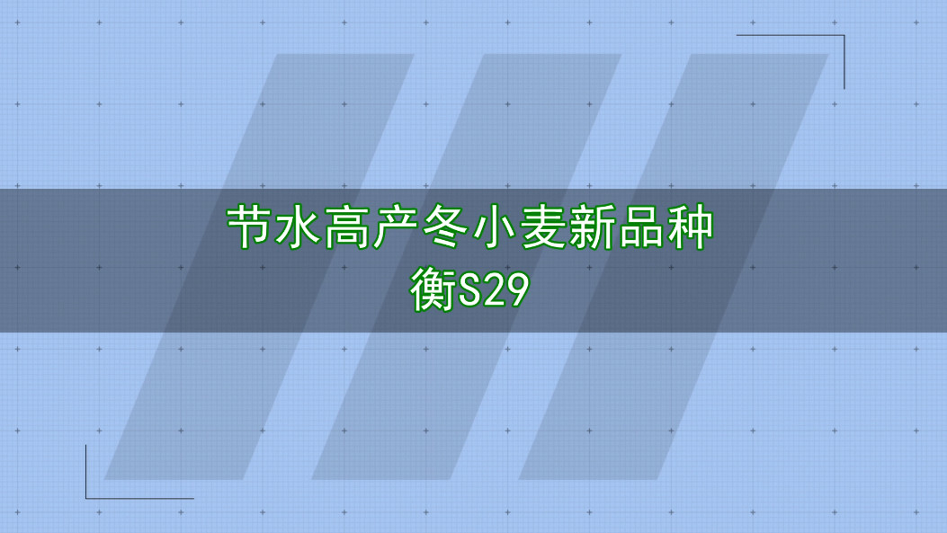 和记娱乐平台